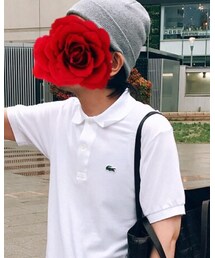 LACOSTE | ポロシャツ