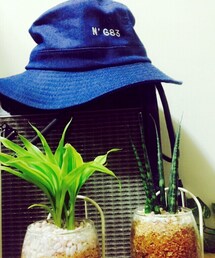 雑貨屋 | ハット