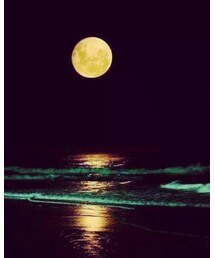 夜の海♪ | その他