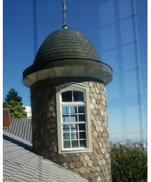 ウロコ♪ | その他