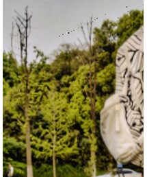 JANSPORT | バックパック/リュック