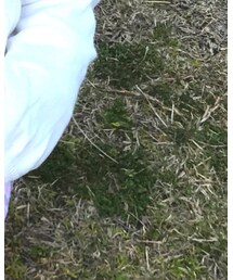 GAP | カーディガン/ボレロ