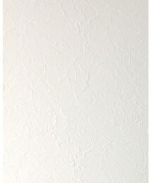 浅井健一グッズ | Tシャツ/カットソー