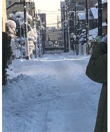 Champion | パーカー