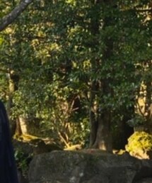 sulvam | トップス