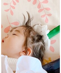 ダイソー | シュシュ