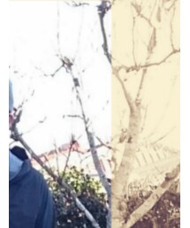 THE NORTH FACE | ニットキャップ/ビーニー