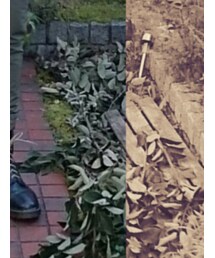 Dr. Martens | ブーツ