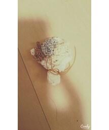 dot. | アクセサリー