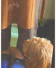 しまむら | パンツ