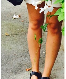 BIRKENSTOCK | サンダル