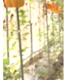 PORTER | バックパック/リュック