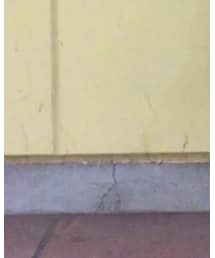 GU | デニムパンツ