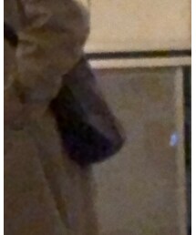 vintage coach | ショルダーバッグ