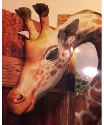 GLOBAL WORK | ストール/ショール