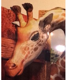 B.C STOCK | ワンピース