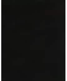 Onitsuka Tiger | スニーカー