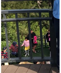 American Eagle | チノパンツ