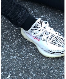 Yeezy | スニーカー