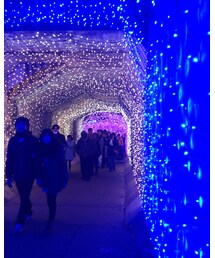 イルミネーション | その他