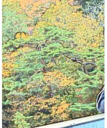 鬼怒川温泉 | その他