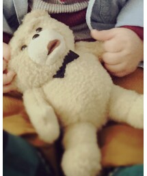 TEDさん | その他