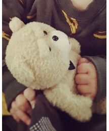 TEDさん | その他