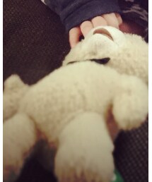 TEDさん | その他