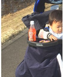 リボンナポリン | その他