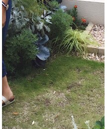 BIRKENSTOCK | サンダル