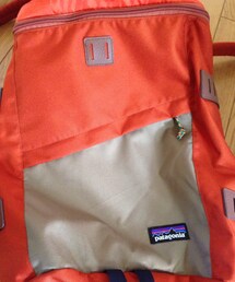 patagonia | 旦那はんからお借り〜🎵(バックパック/リュック)