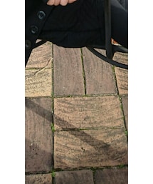 antiqua toy | その他パンツ