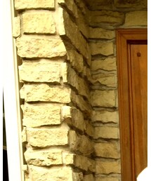 Hollister | Tシャツ/カットソー