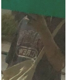 STUSSY | Tシャツ/カットソー