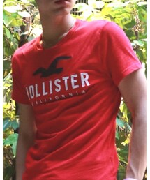Hollister | Tシャツ/カットソー