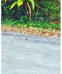 UNIQLO | デニムパンツ