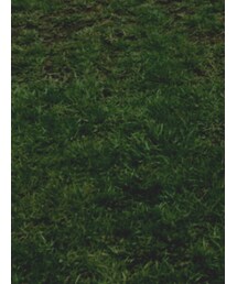 K-SWISS | スニーカー