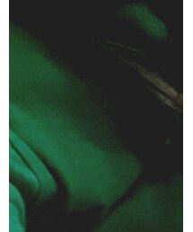 POLO RALPH LAUREN | Tシャツ/カットソー