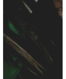 UNIQLO | その他パンツ