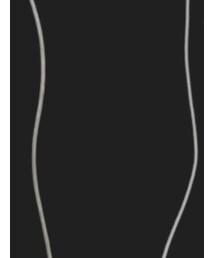 Champion | スウェット