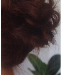 不明 | ワンピース