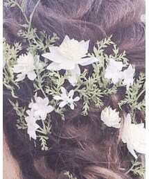 不明 | ワンピース