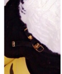 FERRAGAMO | ベルト