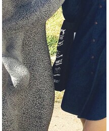 Lush | トートバッグ