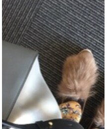 Mode et Jacomo | スリッポン