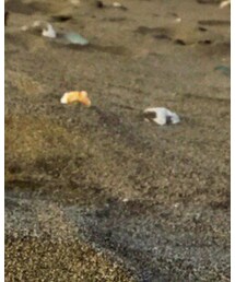 Levi's | デニムパンツ