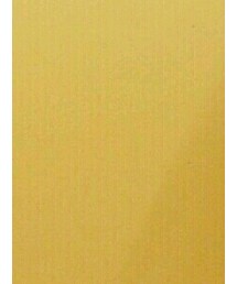 earth music&ecology | パンツ