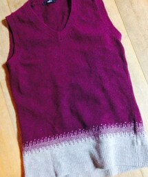 INED | ニットベスト(ベスト)