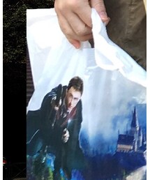 ユニバーサルスタジオジャパン | エコバッグ/サブバッグ