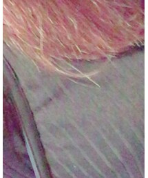 SPINNS | Tシャツ/カットソー